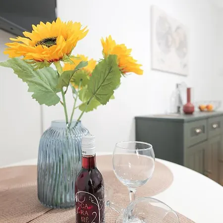 Uranus 公寓 塞萨洛尼基